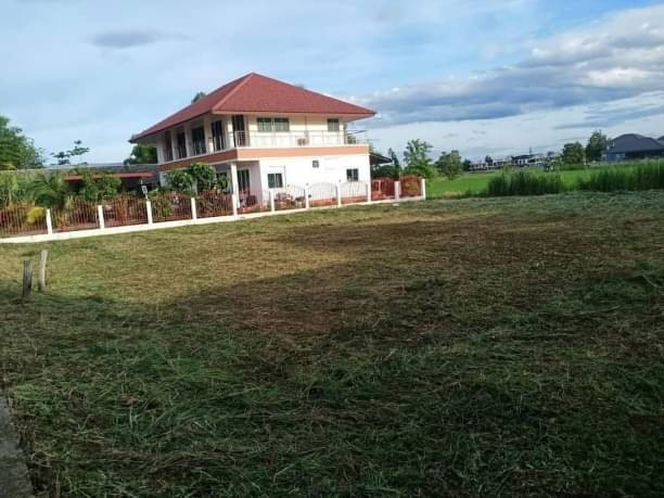 ขายที่ดินตรว.ละ 16,000 บาท 200 ตรว. #ต้นเปา #สันกำแพง #ที่ดินผืนสี่เหลี่ยม สวย มองเห็นวิวทุ่งนา แหล่งชุมชน ไม่เปลี่ยว