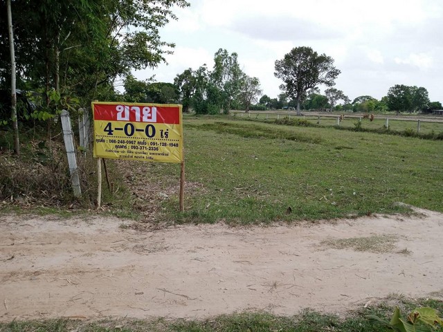 ขายที่นาสวยมาก  4 ไร่ บ้านหนองยาง ต.ชะยูง อ.อุทุมพรพิสัย จ.ศรีสะเกษ   ZE544