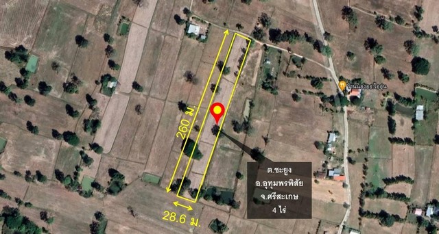 ขายที่นาสวยมาก  4 ไร่ บ้านหนองยาง ต.ชะยูง อ.อุทุมพรพิสัย จ.ศรีสะเกษ   ZE544