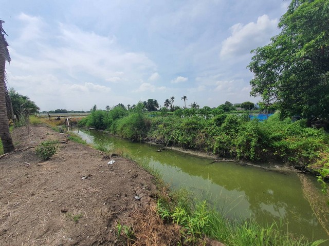 ขายที่ดินสี่เหลี่ยมผืนผ้า จากถนน 300 เมตร แถวพุทธมณฑลสาย 8  เนื้อที่ 8-3-27.1 ไร่ ทำเลดี  ใกล้สนามกอล์ฟ กฤษดานคร ซิตี้กอล์ฟ