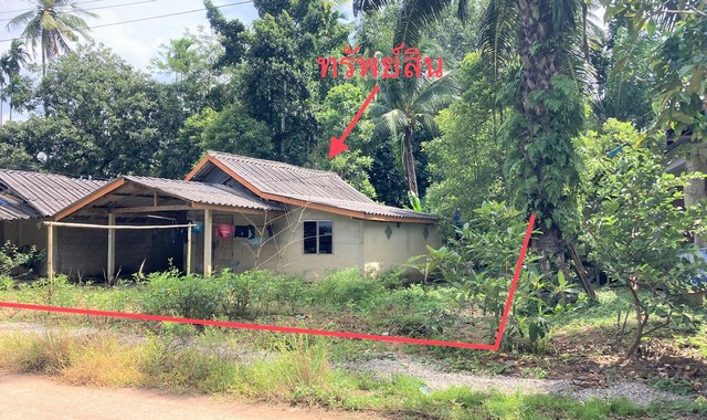 ขายบ้านเดี่ยวใกล้ ตลาดนัดนายก อำเภอพระแสง จังหวัดสุราษฎร์ธานี PKK02-14553