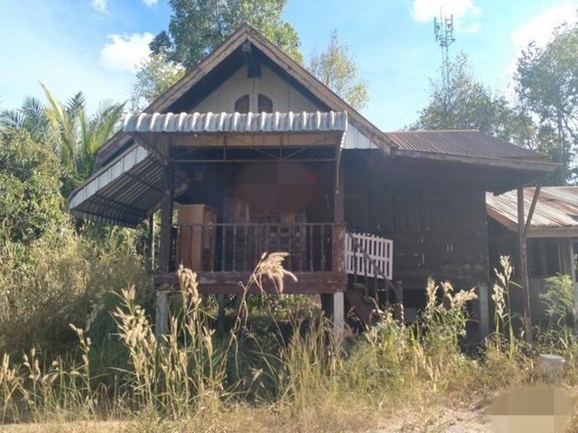 ขายบ้านเดี่ยว       อำเภอเซกา  บึงกาฬ (PKK02-14220)