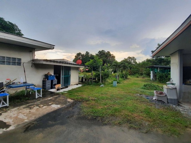 ขายที่ดินพร้อมบ้าน เนื้อที่ 1 ไร่ 2 งาน มีรั้วรอบขอบชิด บ้านนา นครนายก