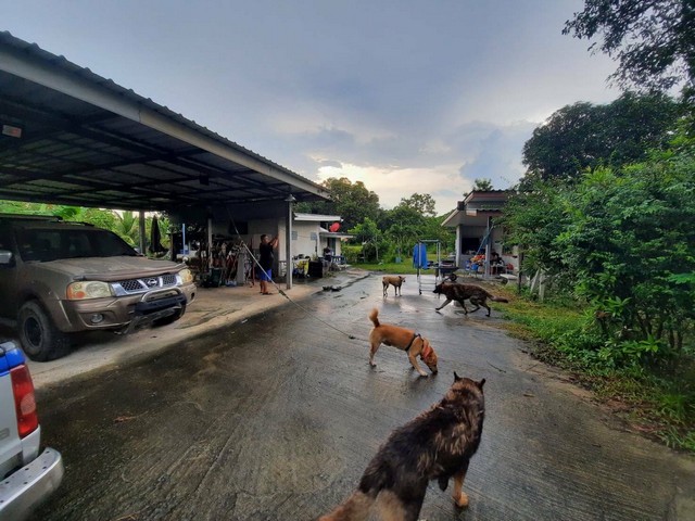 ขายที่ดินพร้อมบ้าน เนื้อที่ 1 ไร่ 2 งาน มีรั้วรอบขอบชิด บ้านนา นครนายก