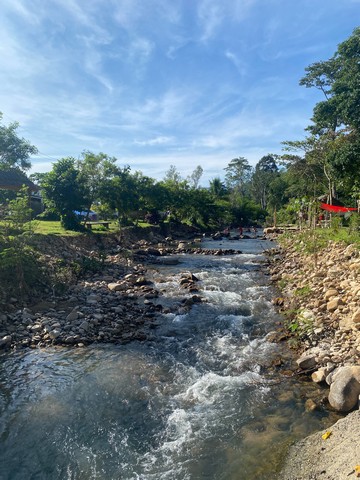 ขายที่ดินพร้อมสิ่งปลูกสร้าง แหล่งท่องเที่ยวชะอม(บึงไม้)ด่วนๆ ติดลำธารขนาด 2 ไร่เต็ม