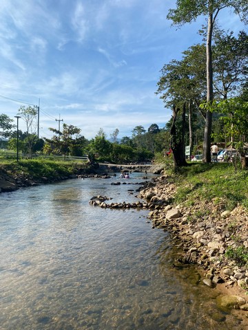 ขายที่ดินพร้อมสิ่งปลูกสร้าง แหล่งท่องเที่ยวชะอม(บึงไม้)ด่วนๆ ติดลำธารขนาด 2 ไร่เต็ม