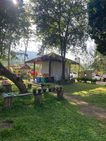 ขายที่ดินพร้อมสิ่งปลูกสร้าง แหล่งท่องเที่ยวชะอม(บึงไม้)ด่วนๆ ติดลำธารขนาด 2 ไร่เต็ม