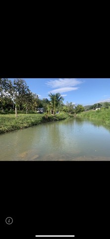 ขายที่ดินพร้อมบ้านพัก แหล่งท่องเที่ยว ชะอม(บึงไม้)ด่วนๆ ติดลำธาร ขนาด 1 ไร่ 2 งาน