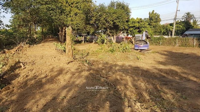 ขายที่ดินติดแม่น้ำปิงติดถนนสายหลัก อ.สารภี จ.เชียงใหม่ 