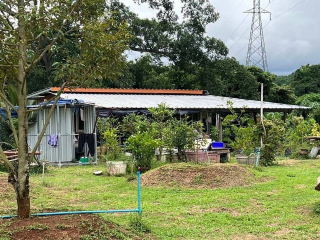 สวนทุเรียนเต็มพื้นที่พร้อมทำต่อ บ้านไฟน้ำครบ  อำเภอ ท่าใหม่ จังหวัด จันทบุรี