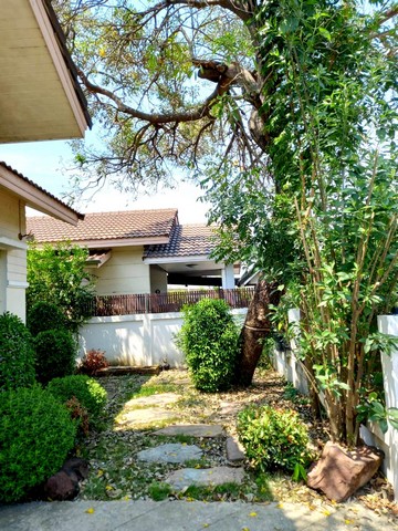 บ้าน วนาสิริ 0 RAI 0 ngan 68 Square Wah 3นอน 2950000 thb ไม่ไกลจาก ใกล้โรงเรียนสารสาสน์วิเทศราชพฤกษ์ วัดไพร่ฟ้า โรงเรียนสาธิตปทุม โรงพยาบาลปทุมธานี เทศบาลเมืองบางคูวัด เทสโก้โลตัสปทุมธานี การเดินทางสะดวก ใกล้แยกบางคูวัด การเดินทางสะดวก ใกล้ถนนบางคูวัด ถนน