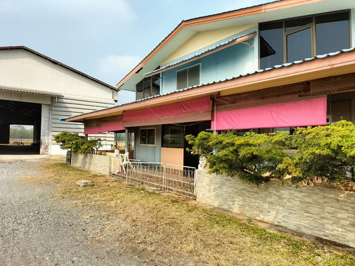 ที่ดิน+สิ่งปลูกสร้างพร้อมดำเนินกิจการเนื้อที่ 10 ไร่ ทำเลดี ติดถนนลาดยาง หน้ากว้าง 111 เมตร ลึก 154 เมตร