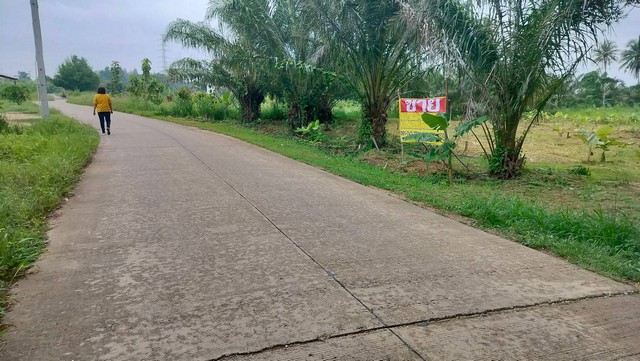 ขายที่ดิน 4 ไร่ ติดถนน  ด้านหลังติดห้วยสาธารณะ  ต.ทับใต้  อ.หัวหิน จ.ประจวบคีรีขันธ์   ZW281