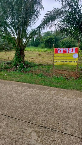 ขายที่ดิน 4 ไร่ ติดถนน  ด้านหลังติดห้วยสาธารณะ  ต.ทับใต้  อ.หัวหิน จ.ประจวบคีรีขันธ์   ZW281