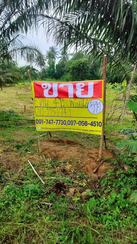 ขายที่ดิน 4 ไร่ ติดถนน  ด้านหลังติดห้วยสาธารณะ  ต.ทับใต้  อ.หัวหิน จ.ประจวบคีรีขันธ์   ZW281