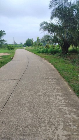 ขายที่ดิน 4 ไร่ ติดถนน  ด้านหลังติดห้วยสาธารณะ  ต.ทับใต้  อ.หัวหิน จ.ประจวบคีรีขันธ์   ZW281