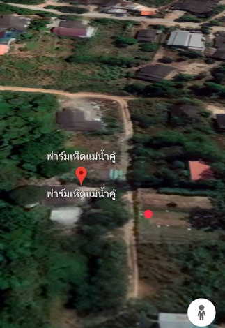 ขายที่ดินเปล่า 200 ตารางวา เหมาะสำหรับ ทำบ้านจัดสรร บ้านสวน เกษตรกรรม