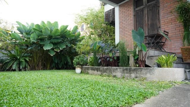 POR3329  ให้เช่าบ้านเดี่ยว 3 ชั้น 63 ตร.วา 3 ห้องนอน ซอยลาซาล 71 หรือ ซอยบางนาตราด 40 บางนาใต้ 