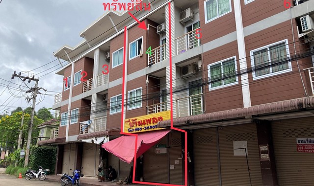 ขายอาคารพาณิชย์โครงการ ศรีทอง พาเลซ อำเภอเมืองสุราษฎร์ธานี จังหวัดสุราษฎร์ธานี PKK04-05380