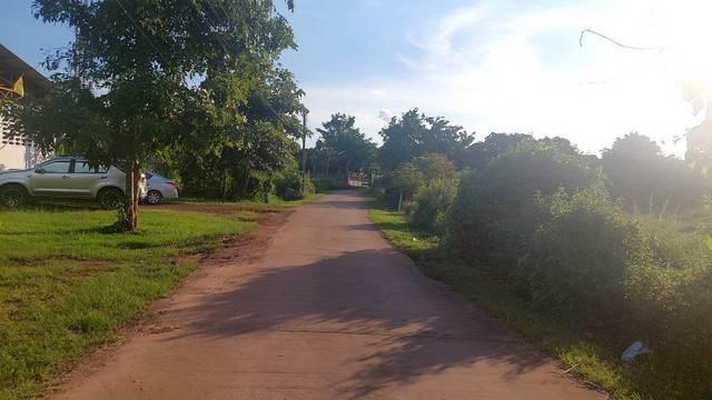 ขายที่ดิน 1 ไร่ ตรงข้ามศาลาชุมชนเนินหงส์ทอง  หลังโรงเรียนเซนต์ปอลหนองคาย อ.เมือง จ.หนองคาย  ZP070 