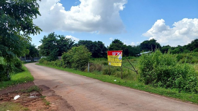 ขายที่ดิน 1 ไร่ ตรงข้ามศาลาชุมชนเนินหงส์ทอง  หลังโรงเรียนเซนต์ปอลหนองคาย อ.เมือง จ.หนองคาย  ZP070 