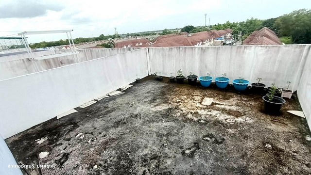 อาคารพาณิชย์ฯ ปิยวรารมย์ รังสิต คุ้มค่าคุ้มราคา