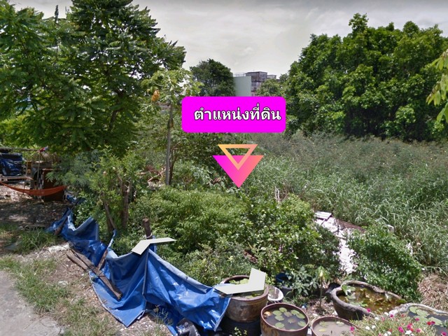 ขายที่ดินผังสีเหลือง 16-2-64 ไร่ ติดถนนสายไหม (ระหว่างซอย 40 - 42) 