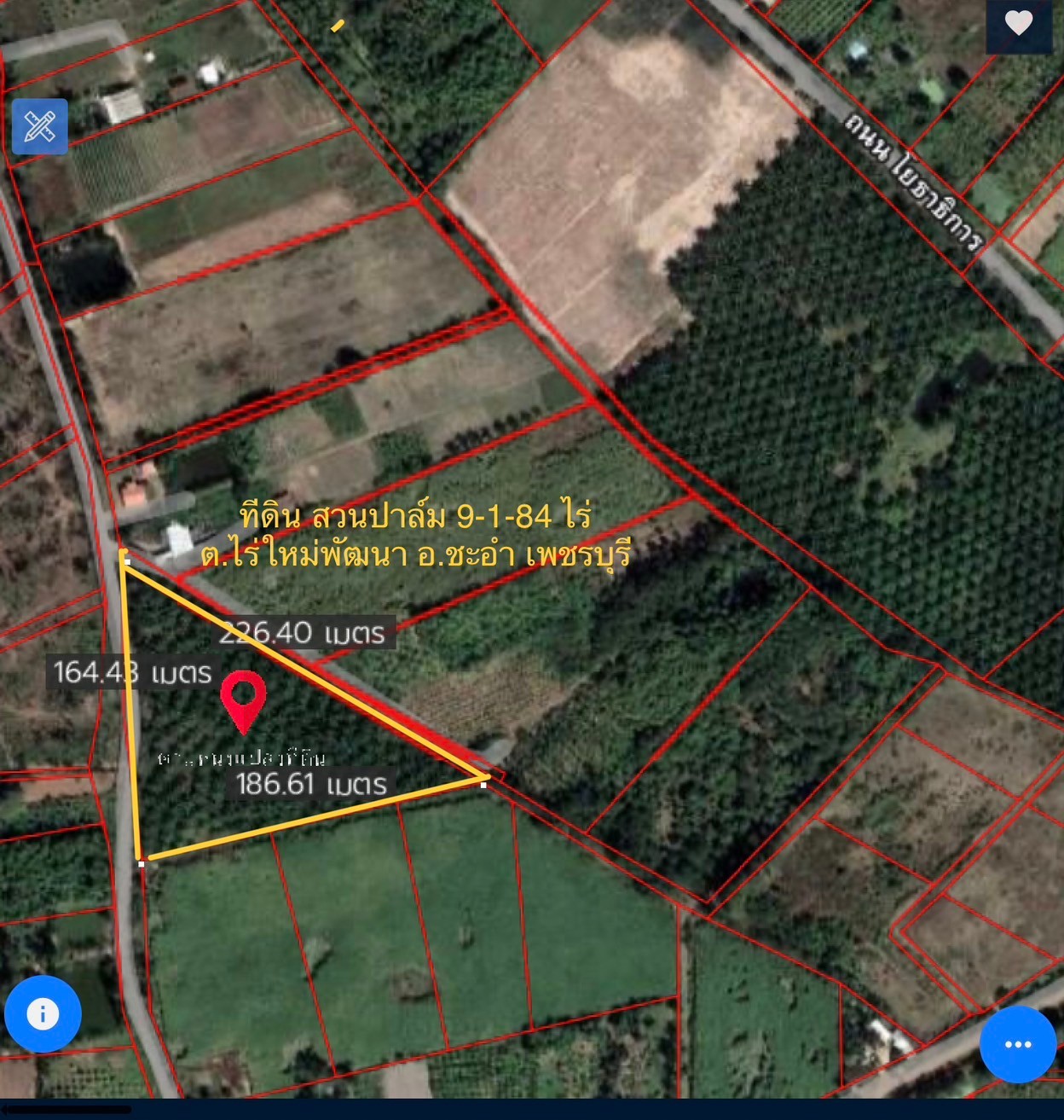 ขาย ที่ดินเปล่า สวนปาล์ม เก็บผลผลิตได้ ไม่ไกลจากหัวหิน ขนาด 9 ไร่ 184 ตร.วา ต.ไร่ใหม่พัฒนา อ.ชะอำ เพชรบุรี