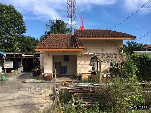 ขายบ้านเดี่ยวใกล้ โรงพยาบาลท่าชนะ อำเภอท่าชนะ จังหวัดสุราษฎร์ธานี PKK02-15376