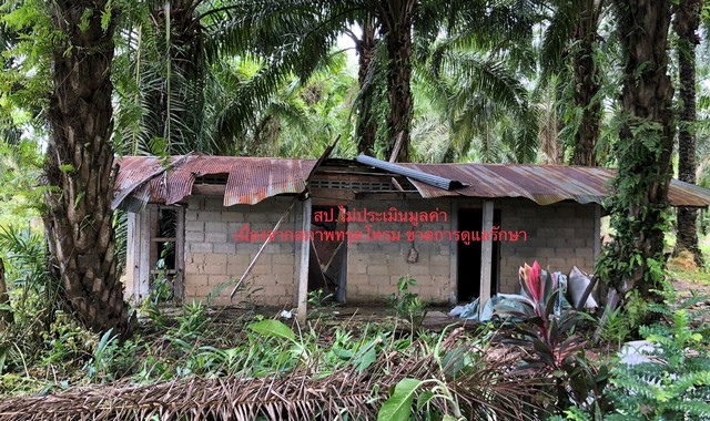 ขายที่ดินว่างเปล่าใกล้ โรงพยาบาลท่าชนะ อำเภอท่าชนะ จังหวัดสุราษฎร์ธานี PKK01-10447
