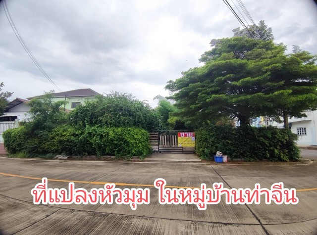 ขายที่ดินพร้อมบ้าน 120 ตรว. หมู่บ้านท่าจีน ซ.ท่าจีน22  ท่าจีน- ท่าฉลอม   ZW290