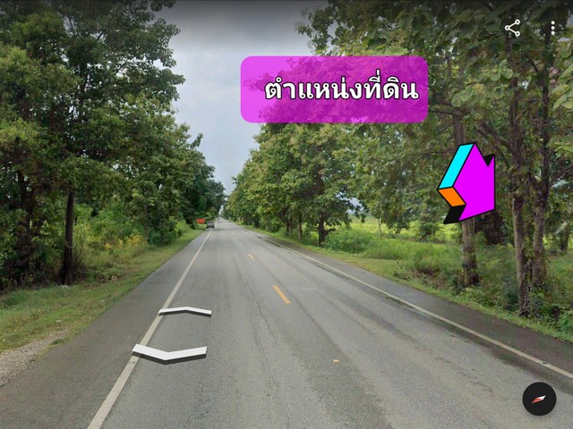 ขายที่ดิน 42-3-75 ไร่  ติดถนนหมายเลข 11 เขาทราย - พิษณุโลก (กำลังก่อสร้างถนน 4 เลน) 