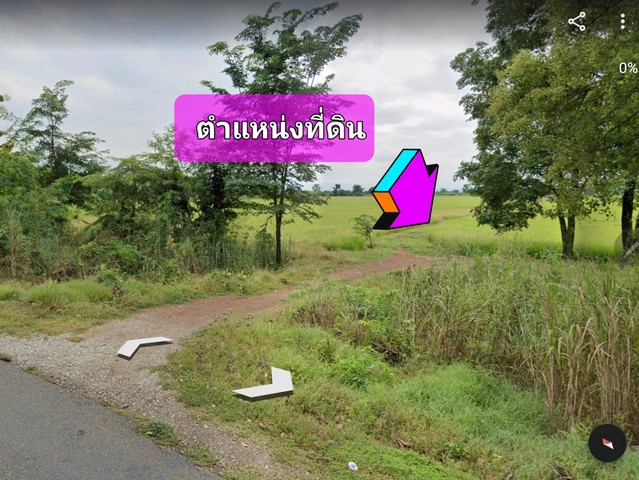 ขายที่ดิน 42-3-75 ไร่  ติดถนนหมายเลข 11 เขาทราย - พิษณุโลก (กำลังก่อสร้างถนน 4 เลน) 