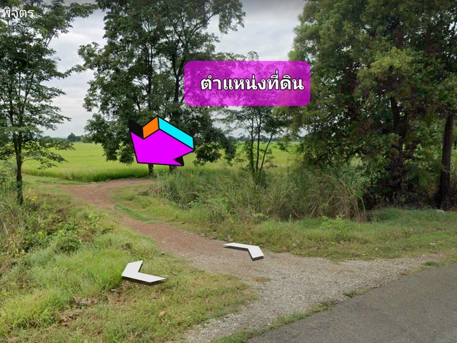 ขายที่ดิน 42-3-75 ไร่  ติดถนนหมายเลข 11 เขาทราย - พิษณุโลก (กำลังก่อสร้างถนน 4 เลน) 