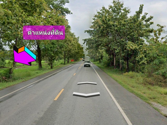 ขายที่ดิน 42-3-75 ไร่  ติดถนนหมายเลข 11 เขาทราย - พิษณุโลก (กำลังก่อสร้างถนน 4 เลน) 