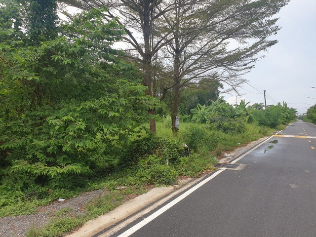   ที่ดิน - ขนาด = 200 ตรว. 0 ngan 0 ไร่  10000 บาท   ราคาพิเศษ