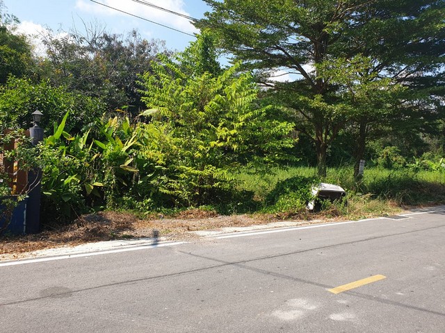 พื้นที่ดิน - สภาพแวดล้อม-ดี