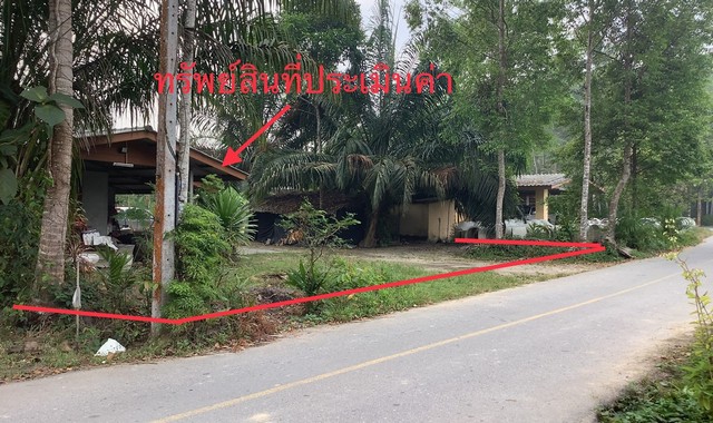ขายบ้านเดี่ยวใกล้ โลตัลเวียงสระ อำเภอเวียงสระ จังหวัดสุราษฎร์ธานี PKK02-13576