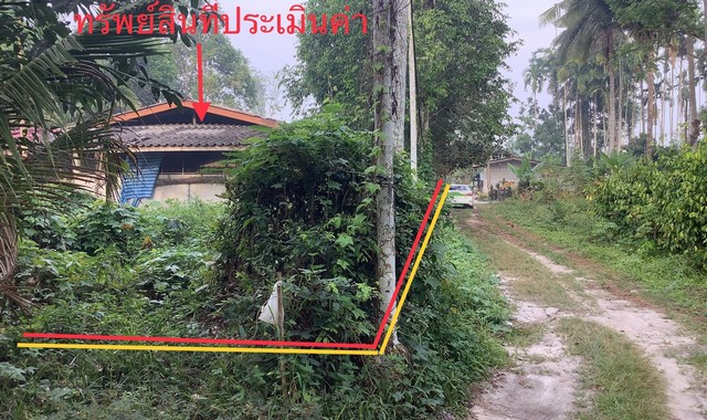 ขายบ้านเดี่ยวใกล้ โลตัลเวียงสระ อำเภอเวียงสระ จังหวัดสุราษฎร์ธานี PKK02-13576