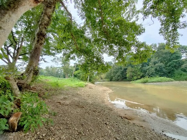 ที่ดินสวย รูปแปลงสี่เหลี่ยมคางหมู ติดแม่น้ำเพชรบุรี ได้ที่งอกหลาย ตรว เนื้อที่ 2-3-30ไร่ ใกล้อุทยานแห่งชาติแก่งกระจาน 
