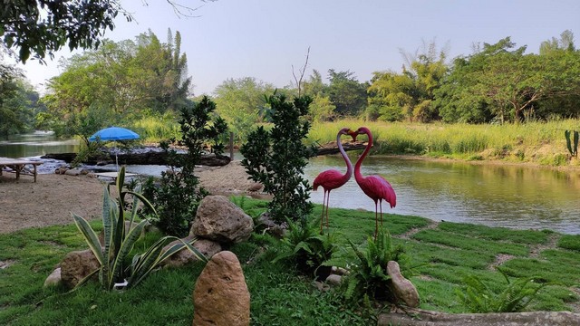 ที่ดินสวย ติดแม่น้ำเพชรบุรี รูปแปลงสี่เหลี่ยมผืนผ้า เนื้อที่ 16-1-9.9 ไร่ ใกล้อุทยานแห่งชาติแก่งกระจาน 
