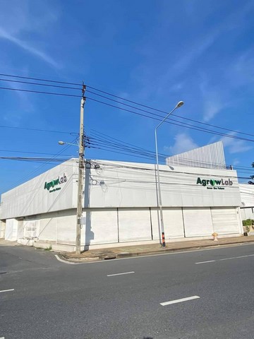 ให้เช่าอาคารโชว์รูม 2 ชั้นขนาด 1000 ตรม ตกแต่งสวยงาม ถนนประเสริฐนูกิจ แขวงคลองกุ่ม เขตบึ่งกุ่ม  กทม