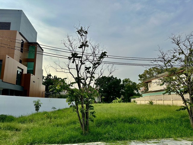 ขาย ที่ดินเปล่า ในสนามกอล์ฟ วินด์มิลล์ เฟส 3 (West Zone) ต.บางพลีใหญ่ อ.บางพลี จ.สมุทรปราการ