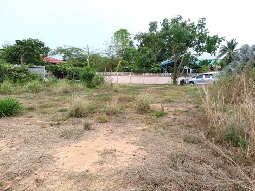 ขายที่ดิน 1-0-42.3 ไร่ (รวม 3 โฉนด) ทำเลดี อยู่ในชุมชนเขตเทศบาล ติดถนน 2 ด้าน