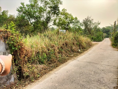 ขายที่ดิน 5-2-73 ไร่ (โฉนด 2 แปลงติดกัน) หน้ากว้าง 145 เมตร ลึก 69  เมตร ทำเลดี ด้านหน้าที่ดินติดถนนคอนกรีต ด้านหลังติดคลองวิหารแดง 