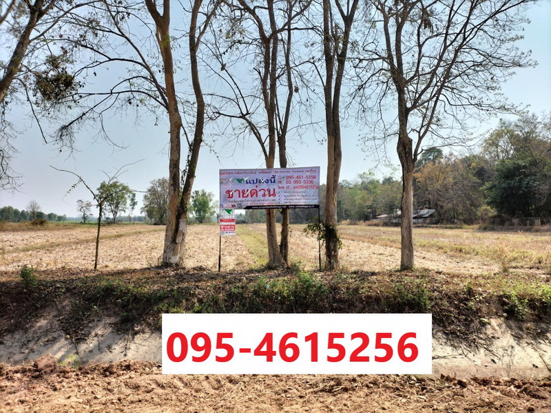 ที่ดิน 8-3-72 ไร่ หน้ากว้าง118 เมตร ลึก 152เมตร ราคาถูก เหมาะสำหรับสร้างที่อยู่อาศัย