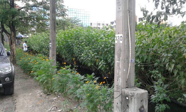 sss157 ขาย ที่ดิน รามคำแหง 138 ติดถนนใหญ่ ทำเลดี ใกล้ สถานีน้อมเกล้า