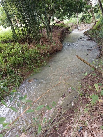 ขายที่ดินสวยสวนผลไม้สวนสักทอง และสวนยางพารา พร้อมเก็บเกี่ยวผลผลิต ที่ ต.ทรายขาว อ.สอยดาว จันทบุรี