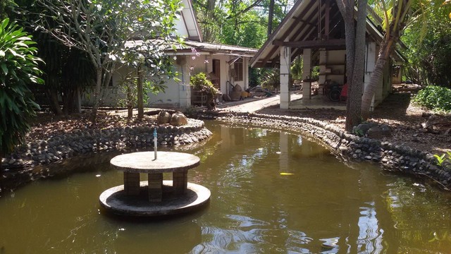 ขายที่ดินสวยสวนผลไม้สวนสักทอง และสวนยางพารา พร้อมเก็บเกี่ยวผลผลิต ที่ ต.ทรายขาว อ.สอยดาว จันทบุรี