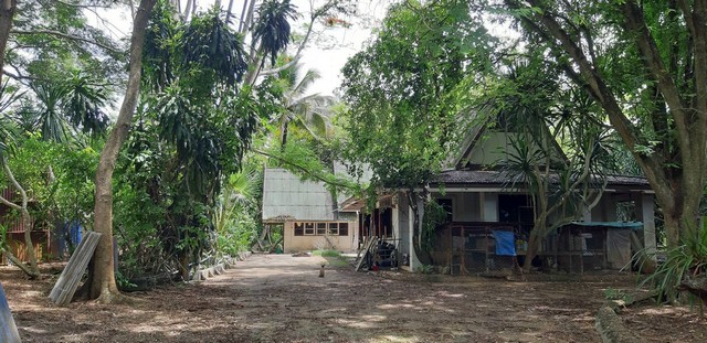 ขายที่ดินสวยสวนผลไม้สวนสักทอง และสวนยางพารา พร้อมเก็บเกี่ยวผลผลิต ที่ ต.ทรายขาว อ.สอยดาว จันทบุรี